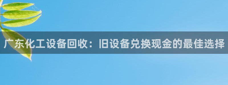门徒平台徽信搜推客娃娃
