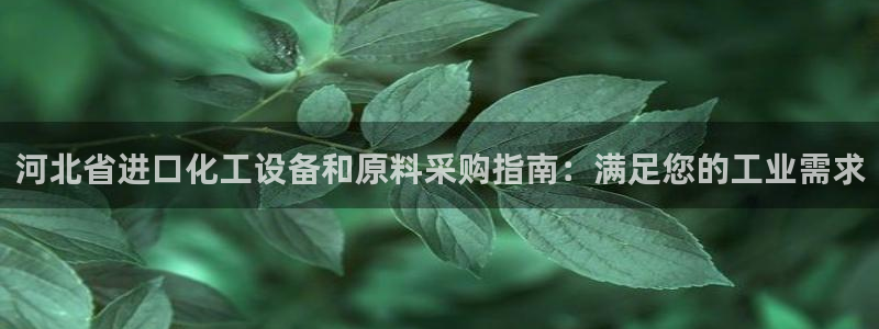 门徒娱乐有没有分红