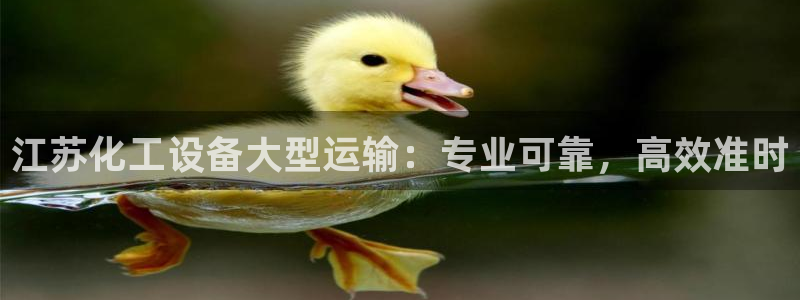 门徒平台集团官网