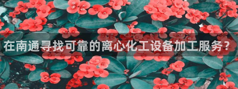 门徒娱乐是真的吗