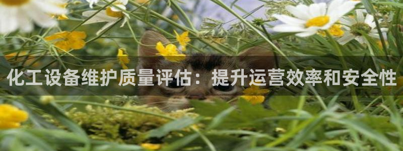 门徒娱乐充值安全吗可靠吗
