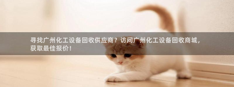 门徒平台登录注册失败
