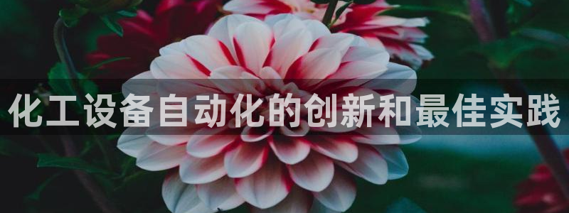 门徒平台集团官网