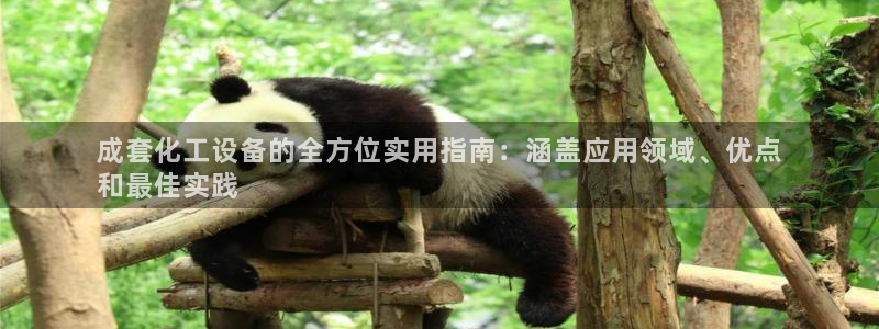 门徒娱乐平台登录1990官网