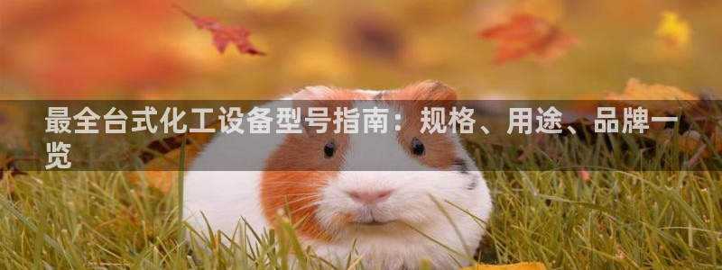 门徒娱乐是什么