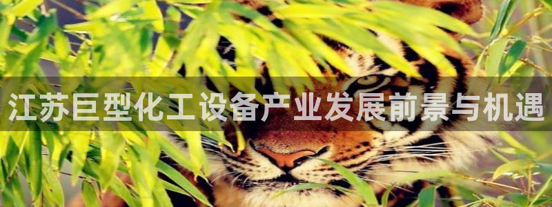 门徒娱乐属于什么系列