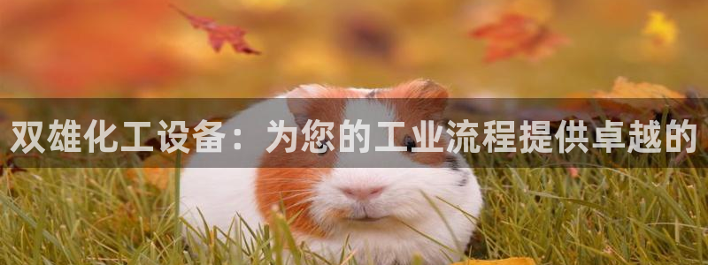 门徒娱乐平台登录