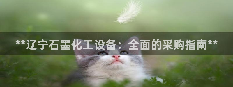 门徒平台注册登陆失败怎么回事