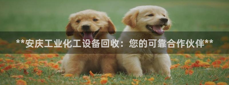 门徒平台注册登陆失败原因
