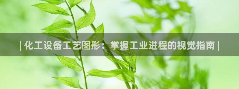 门徒娱乐项目