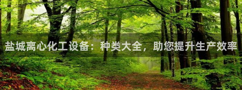 门徒娱乐用户评价与反馈