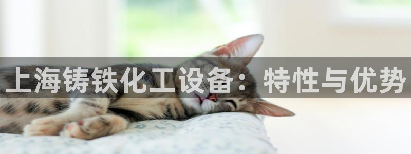 门徒平台代理怎么做