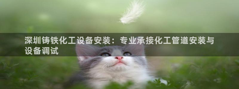 门徒娱乐怎么注册微信