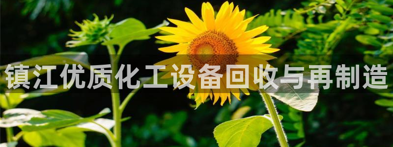 门徒娱乐注册下载软件