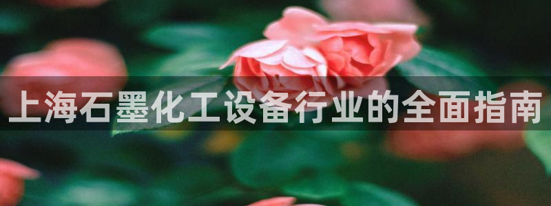 门徒娱乐他494o3 主管