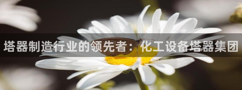 门徒平台官网首页下载
