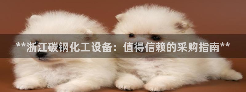 门徒娱乐登录测速：**浙江碳钢化工设备：值得信赖的采购指南*