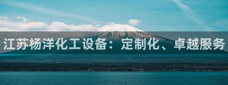 门徒平台寻 585341 门徒：江苏杨洋化工设备：定制化、卓