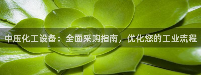 门徒平台代理怎么做