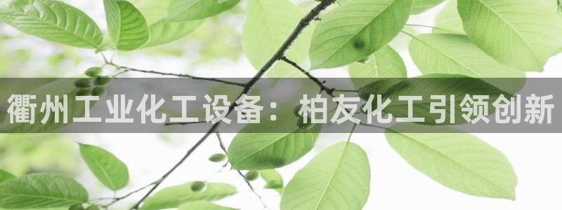 门徒平台推荐 585341