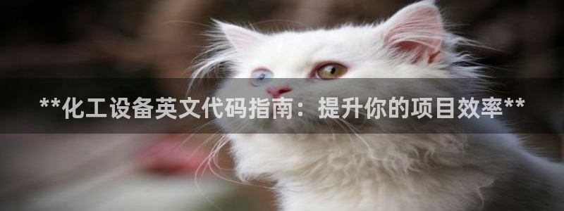 门徒平台能提款吗安全吗