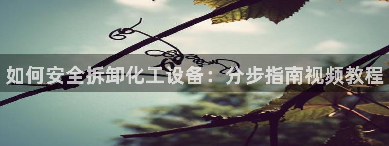 门徒娱乐是干嘛