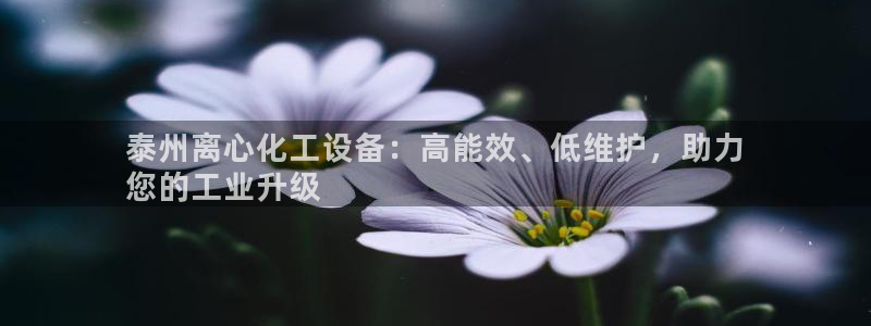 门徒平台集团官网下载