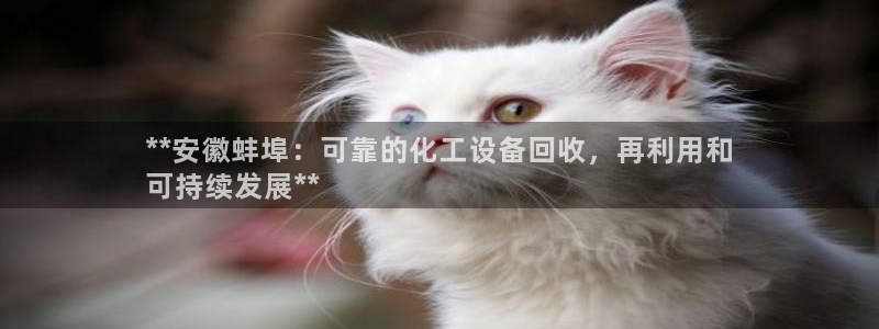 门徒娱乐平台代理怎么做