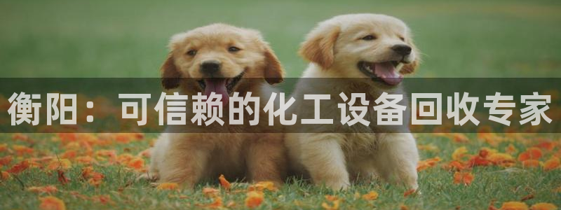 门徒娱乐的创始人背景：衡阳：可信赖的化工设备回收专