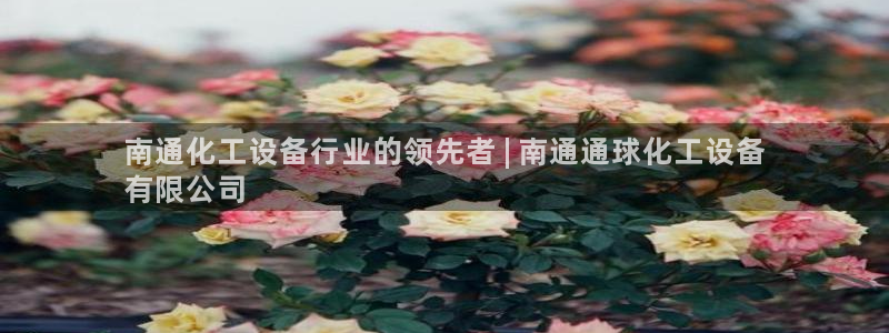 门徒平台推 58534I 平台