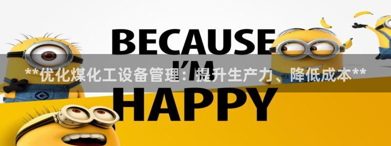 门徒平台系 5O6917 门徒：**优化煤化工设备