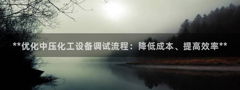 门徒平台登录注册：**优化中压化工设备调试流程：降