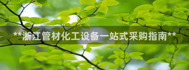 门徒平台招商：**浙江管材化工设备一站式采购指南*