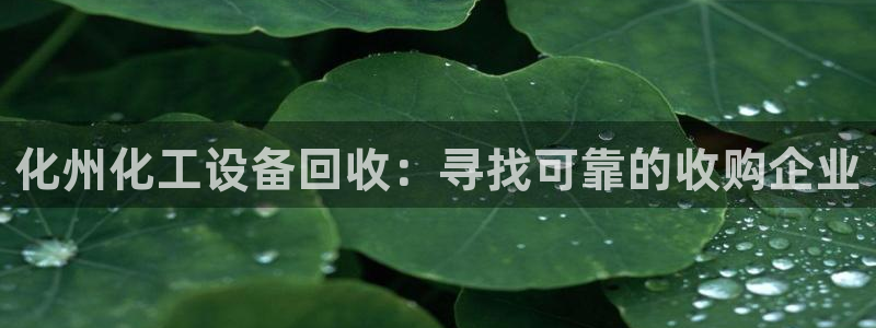 门徒平台说 5o69I7