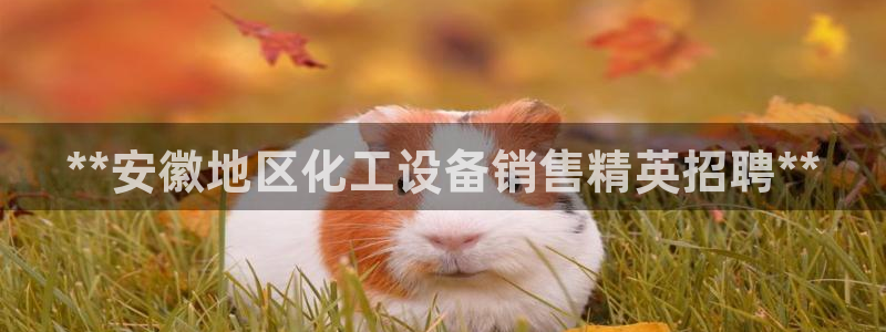 门徒平台开户流程图