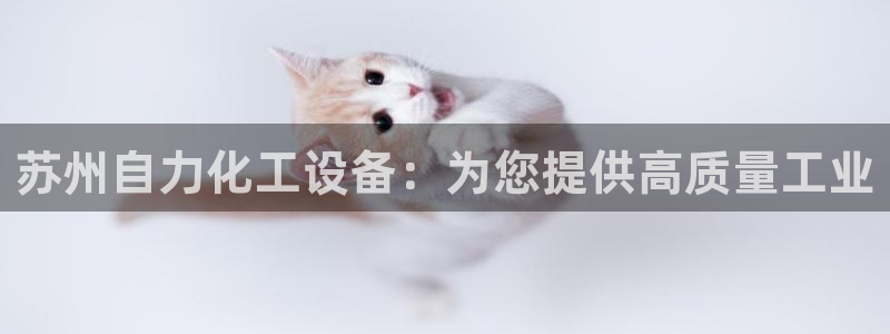 门徒平台集团官网