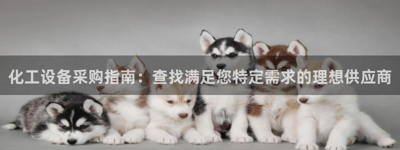 门徒娱乐成功案例分析