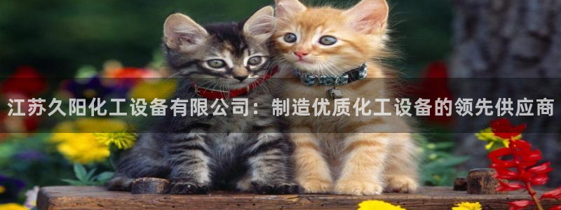 门徒娱乐平台下载安卓