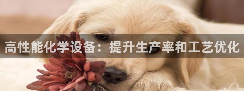 门徒娱乐注册登录地址在哪