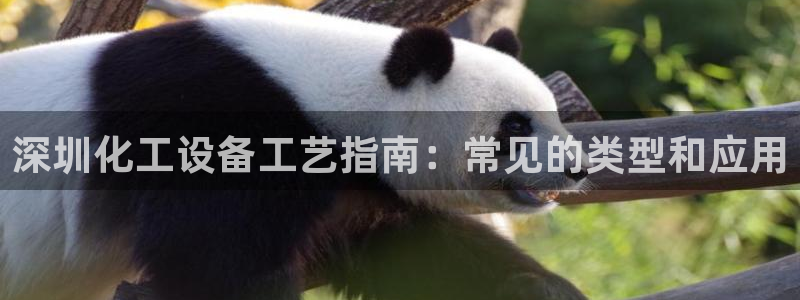 门徒娱乐总代理