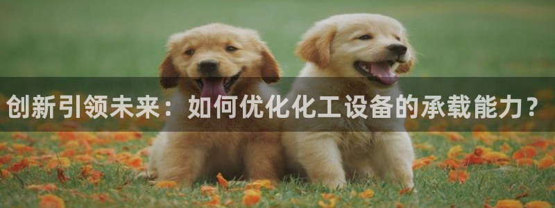 门徒平台注册登陆失败怎么回事