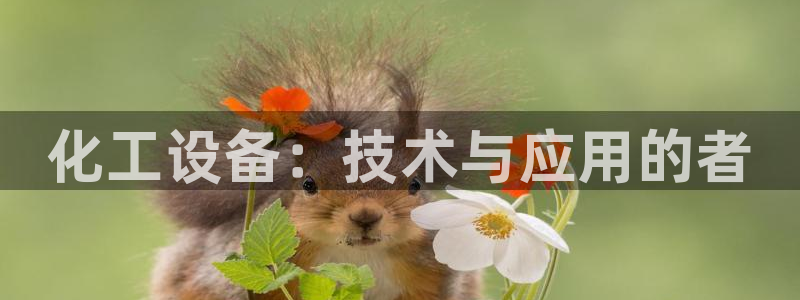 门徒娱乐平台代理登录