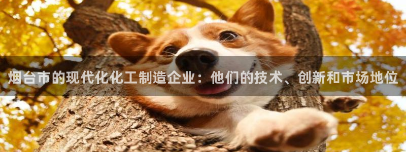 门徒娱乐怎么注册账号：烟台市的现代化化工制造企业：