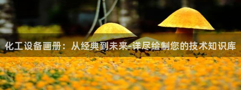 门徒娱乐下载手机版：化工设备画册：从经典到未来-详
