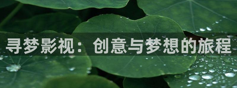 五五五电影官网在线看免费