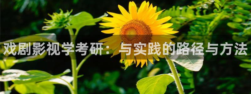 五五影视影院