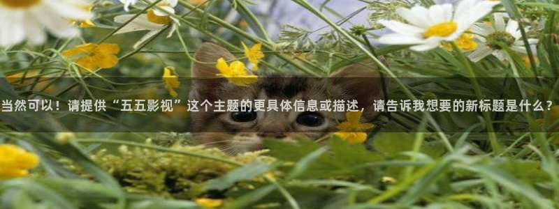 五五影院电影免费观看