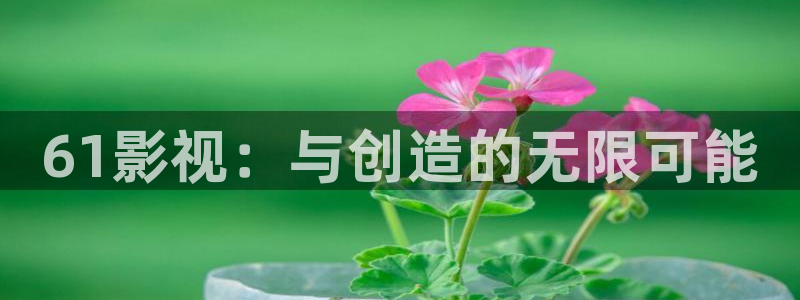 五五影视官方网