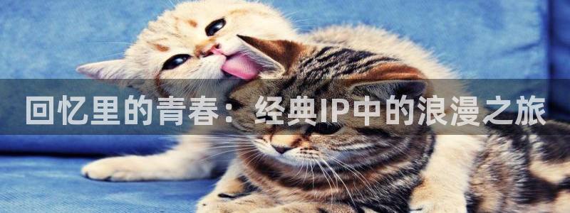 五五婷婷影院