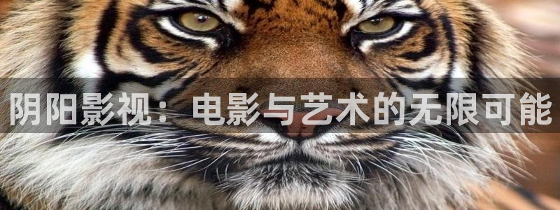 五五影视最新影视剧